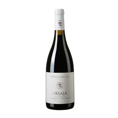 Ursaja Cilento Aglianico 